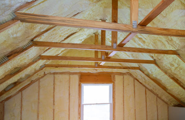 Best Insulation Maintenance and Repair in Missouri Valley, IA